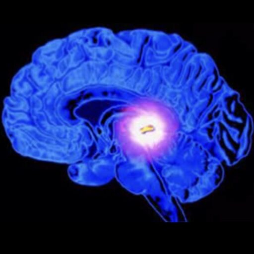 stylized image of the human brain with light at the center