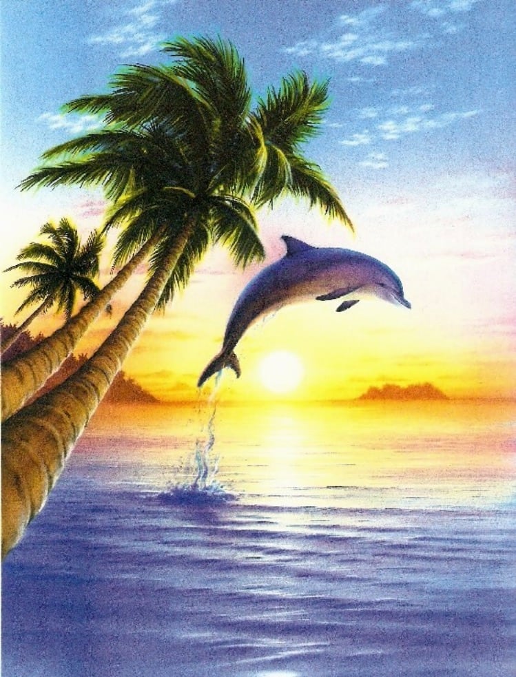 Illustration of a Dolphin jumping out of the sea with palm trees in the foreground at sunrise