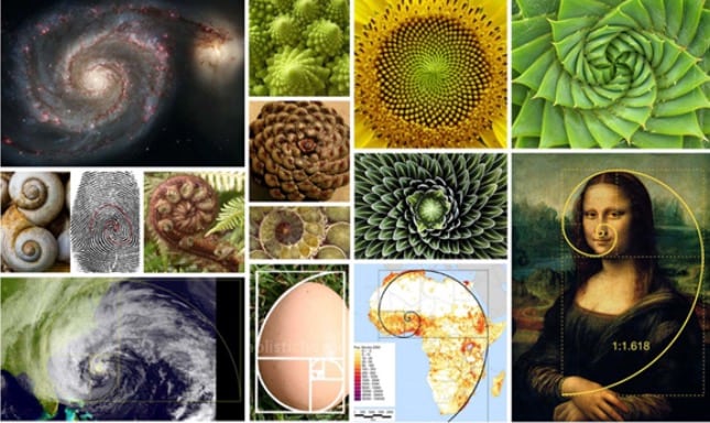 Image of the golden ratio in natural forms and artistic works against a collage style composition