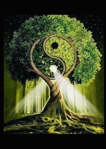 Tree of Life Image