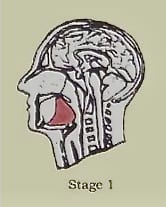 Anatomical image depicting stage 1 of the performing the Kechari Mudra