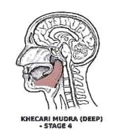 Anatomical illustration of stage 4 of the Kechari Mudra